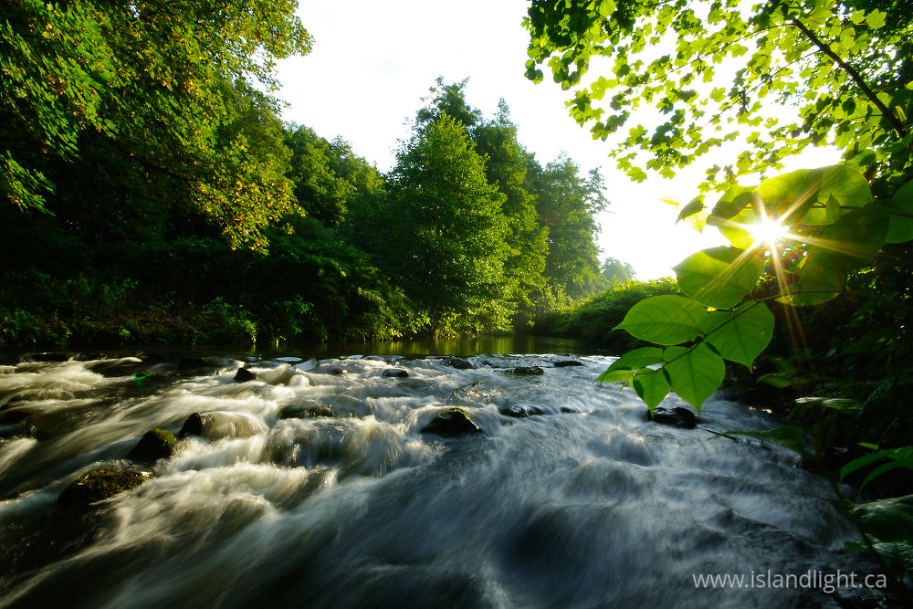 Landscape  photo from  Aillevillers, Haute-Saone France.