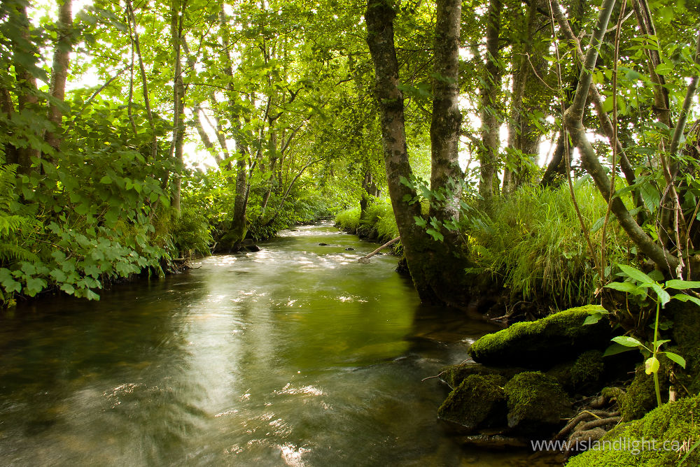 Landscape photo from  Aillevillers, Haute-Saone France.