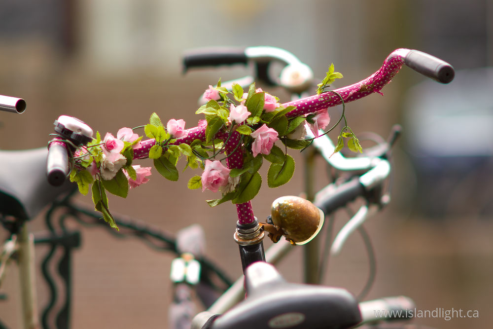 Object  photo from  Amsterdam,  Netherlands.