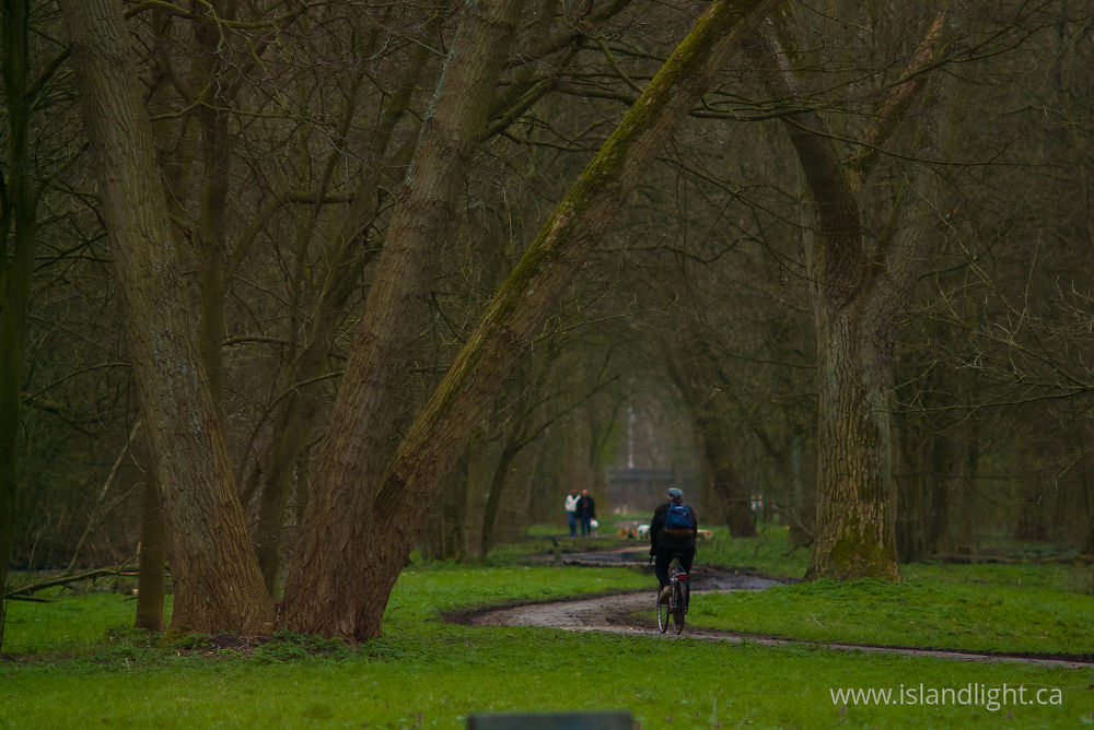 Landscape  photo from  Amsterdam,  Netherlands.