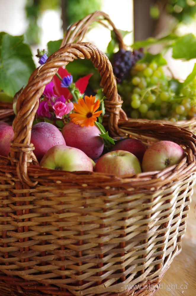 Food  photo from  Cortes Island, British Columbia Canada.