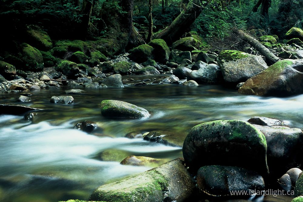 Landscape photo from  Bond Sound, BC Canada.