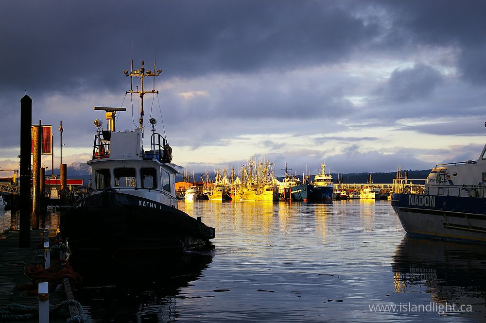 Boating  photo from Discovery Harbour Campbell River, BC Canada.