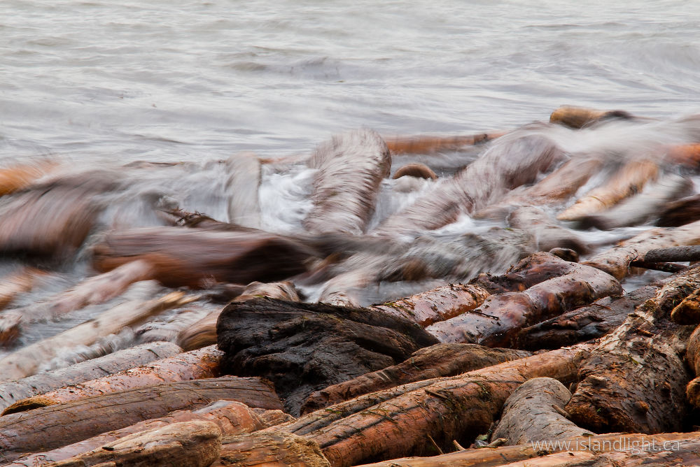 Other  photo from  Cortes Island, BC Canada.
