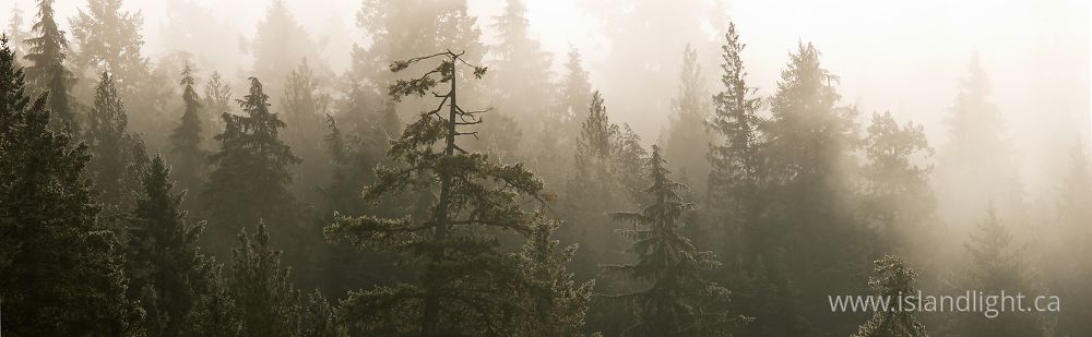 Landscape photo from Mansons Landing Cortes Island, BC Canada.