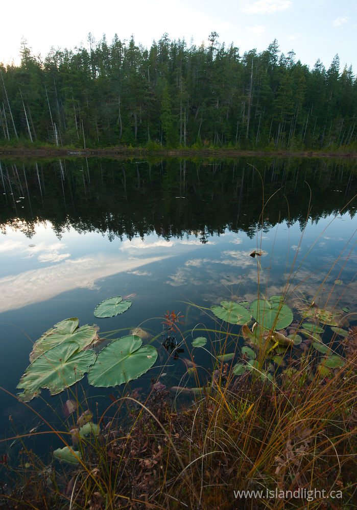 Landscape  photo from Nutshell Lake Cortes Island, BC Canada.