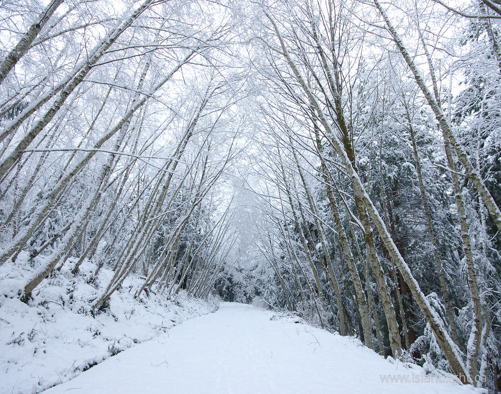 Landscape  photo from  Cortes Island, British Columbia Canada.