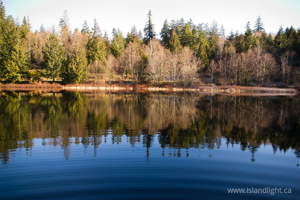 Landscape  photo from Hague Lake Cortes Island, BC Canada.