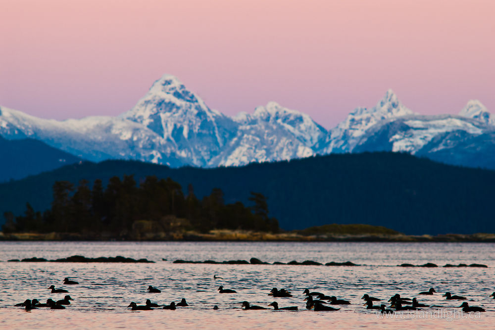 Landscape photo from  Desolation Sound, BC Canada.