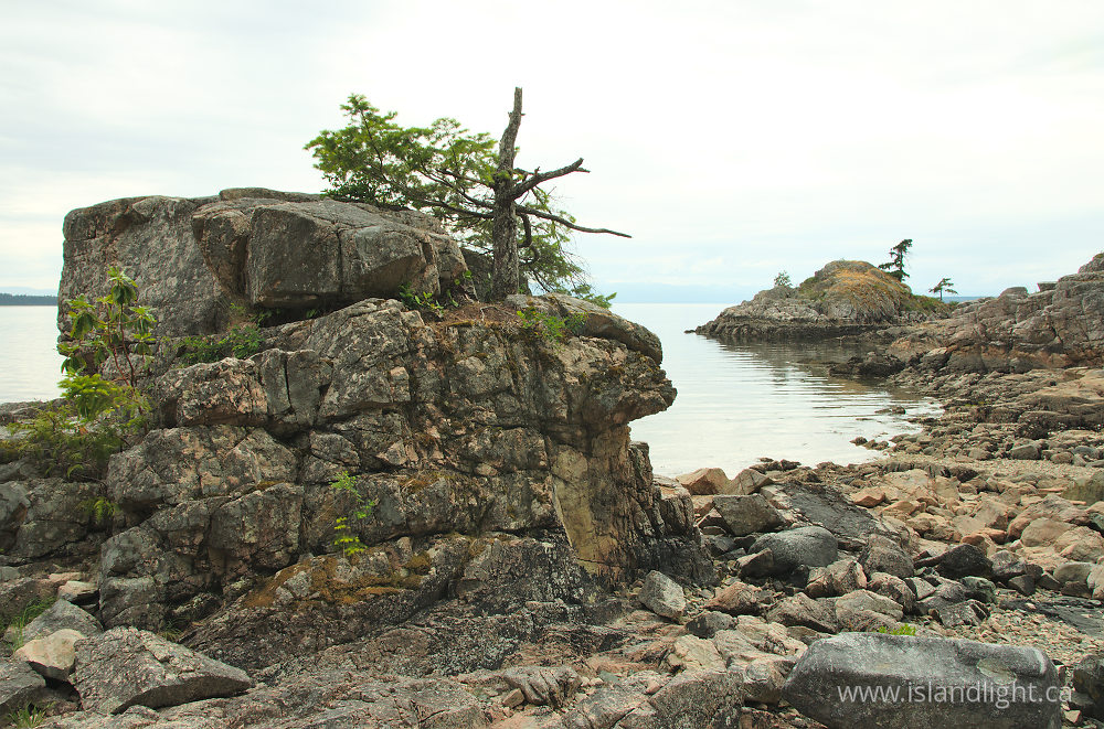 Landscape  photo from  Lund, British Columbia Canada.