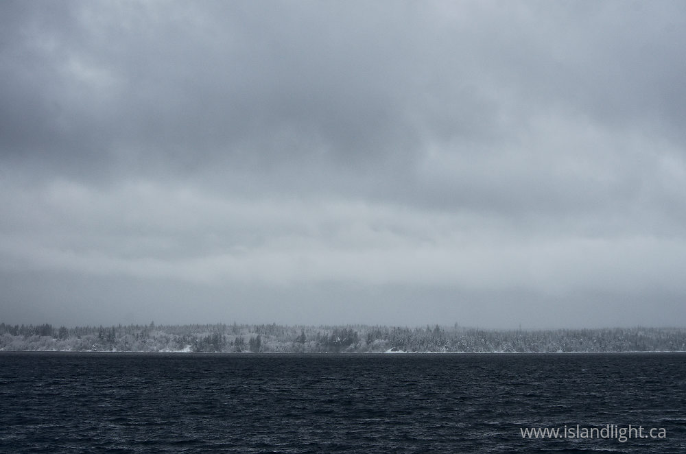 Landscape  photo from  Marina, British Columbia Canada.