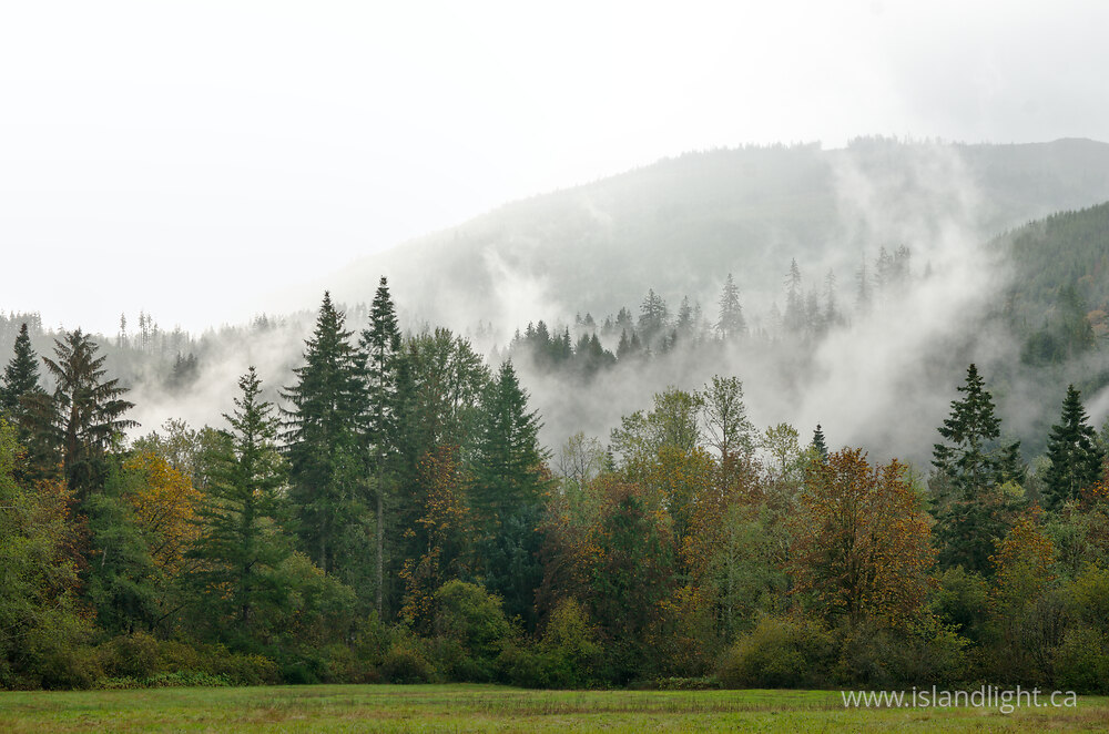 Landscape  photo from  Nooksack River, Washington USA.