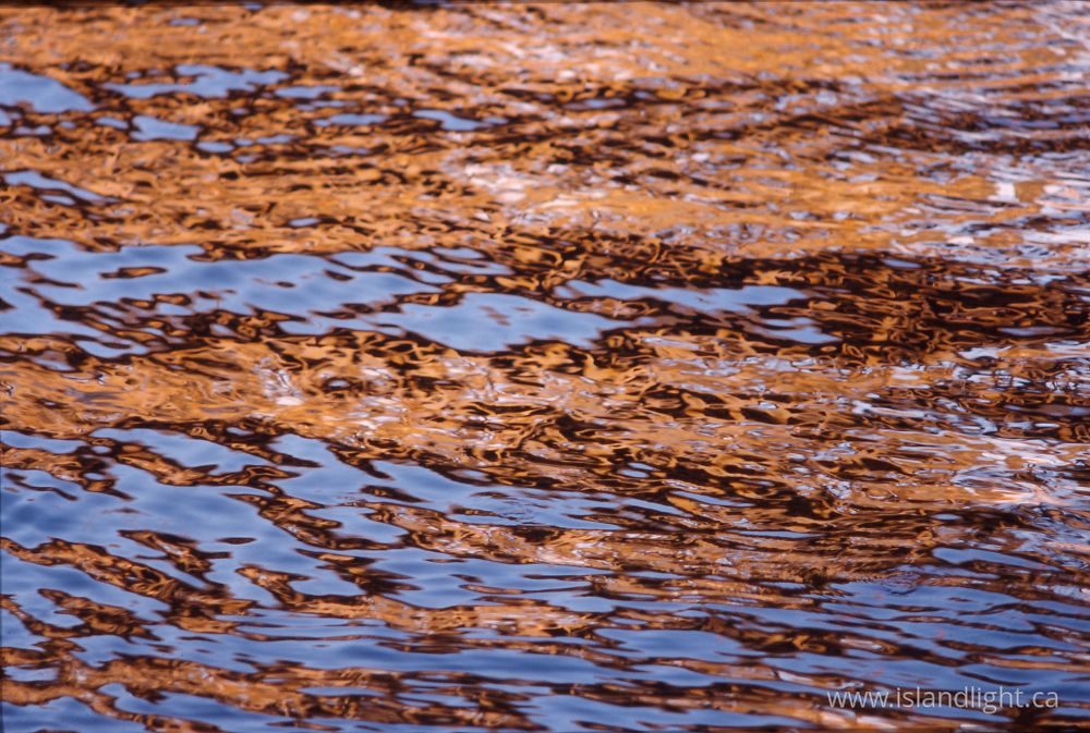 Reflection  photo from  Salish Sea, BC Canada.