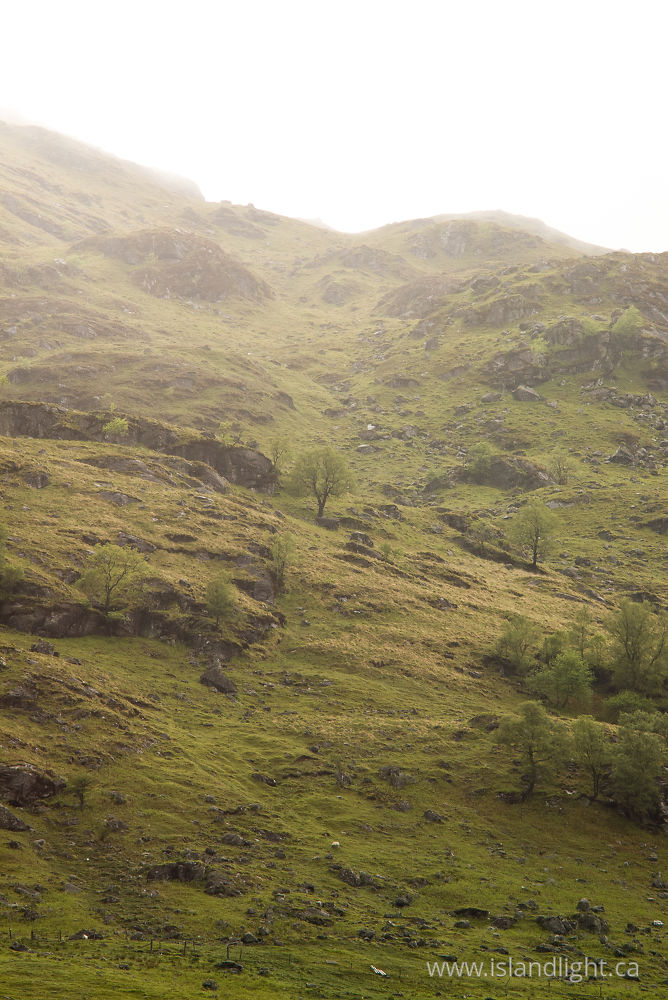Landscape photo from  Scotland,  Scotland.