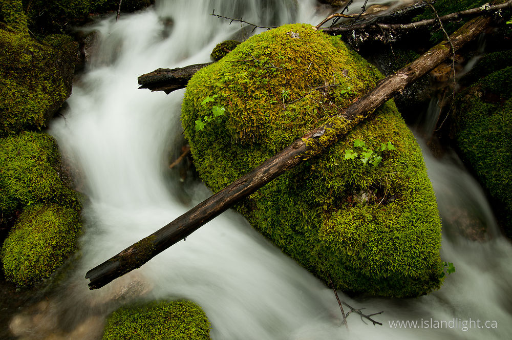 Landscape photo from Climax Creek Slocan Valley, BC Canada.