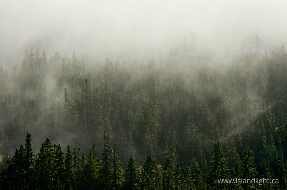 Landscape  photo from  Vancouver Island, British Columbia Canada.