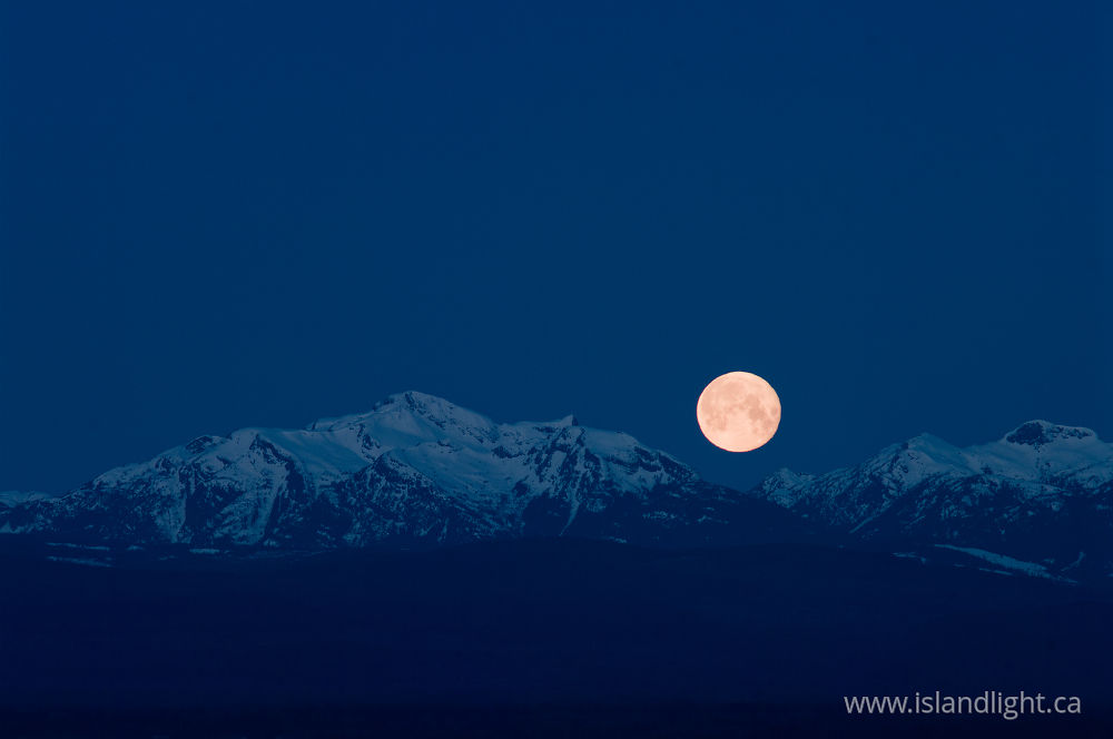 Landscape  photo from  Vancouver Island, BC Canada.