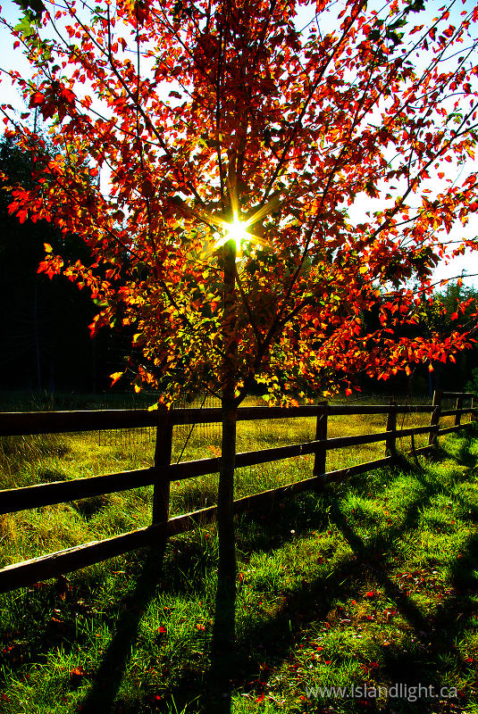   Sunrise photo
