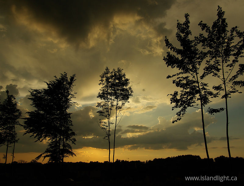   Skyscape photo