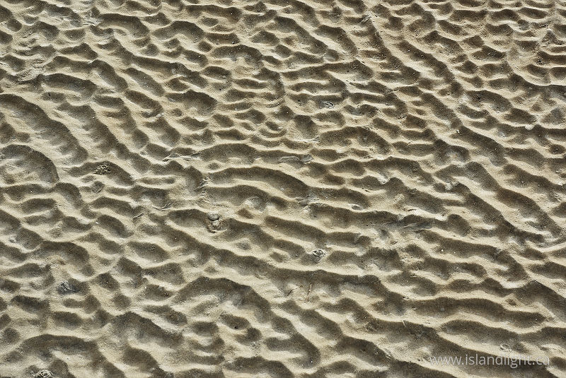   Beach photo