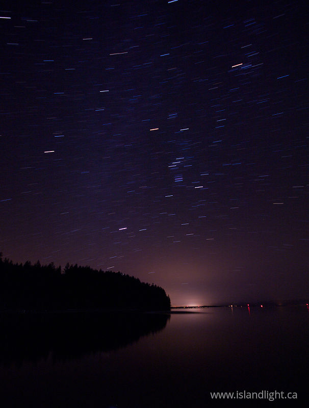 South Point Star trails -   photo