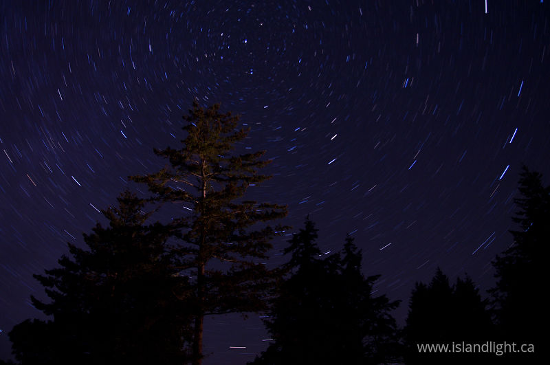   Star photo