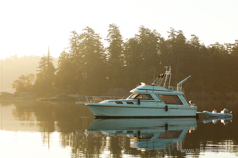   power boat photo