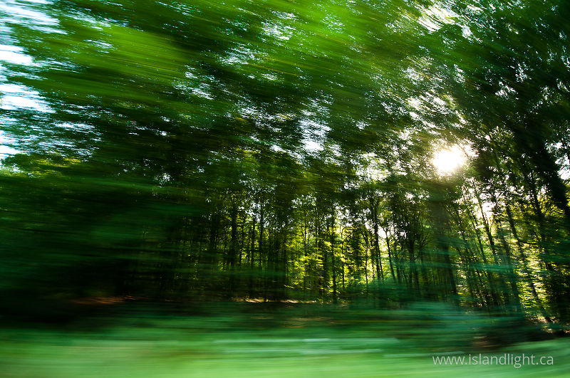   Travel photo