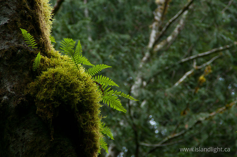 High Life -   photo
