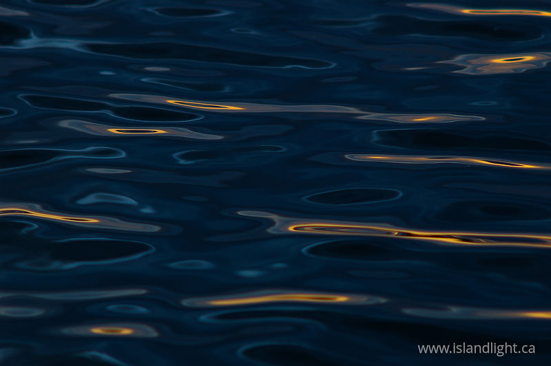   Reflection photo