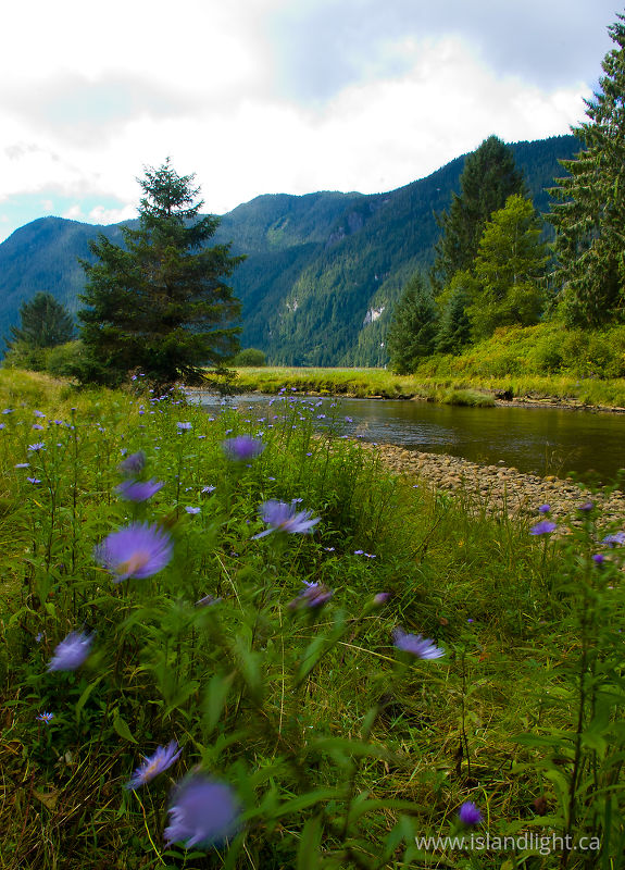   Wilderness photo