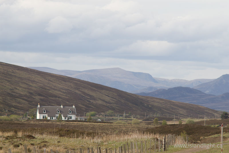   Lonely House photo