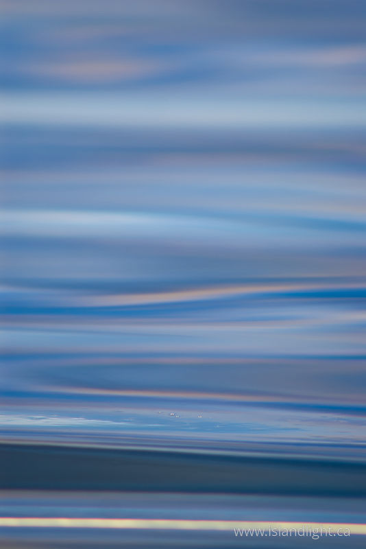   Reflections photo