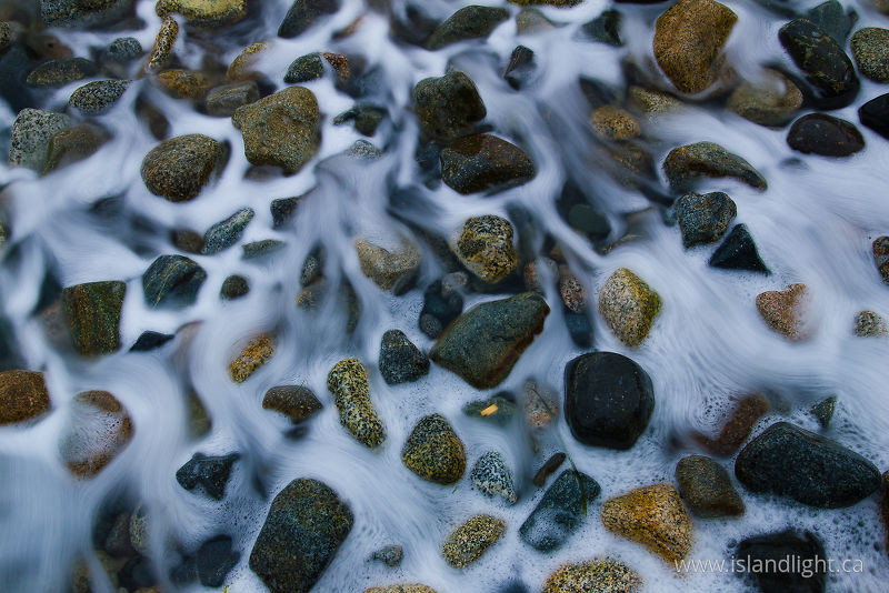   Sea Shore photo