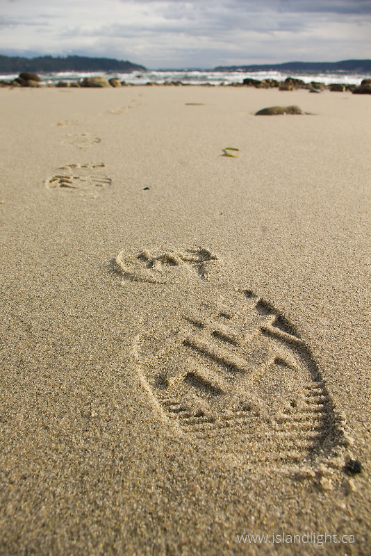   Beach photo