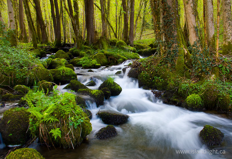   Waterfall photo