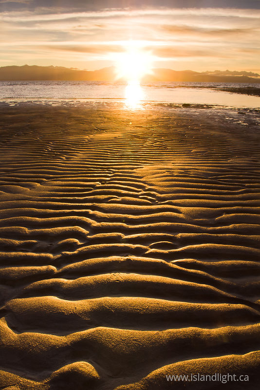   Sunset photo