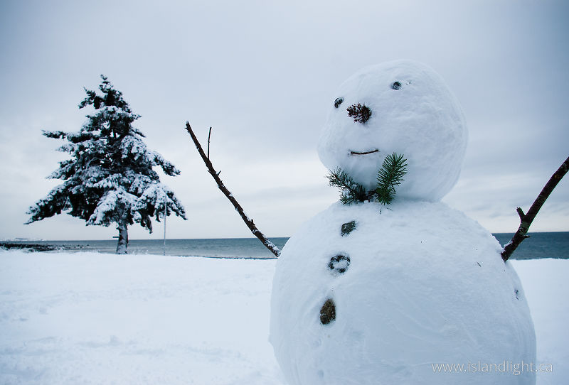   Winter photo