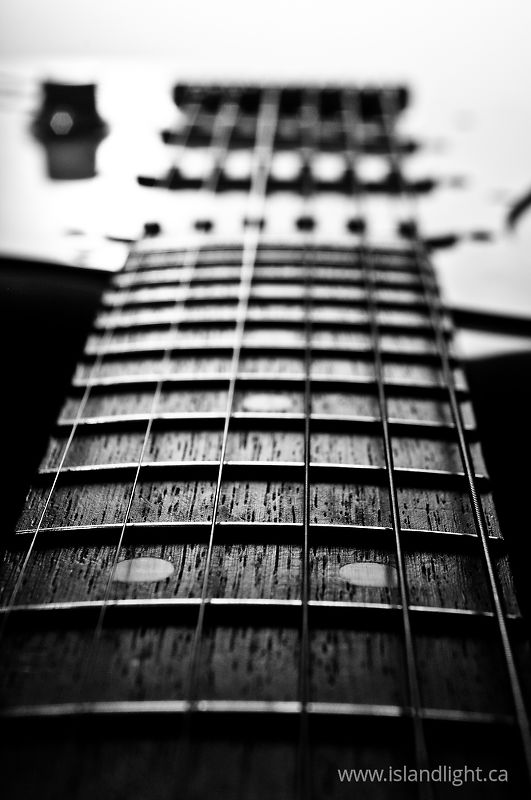 17th Fret -   photo