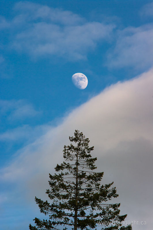 Luna -  Moon photo