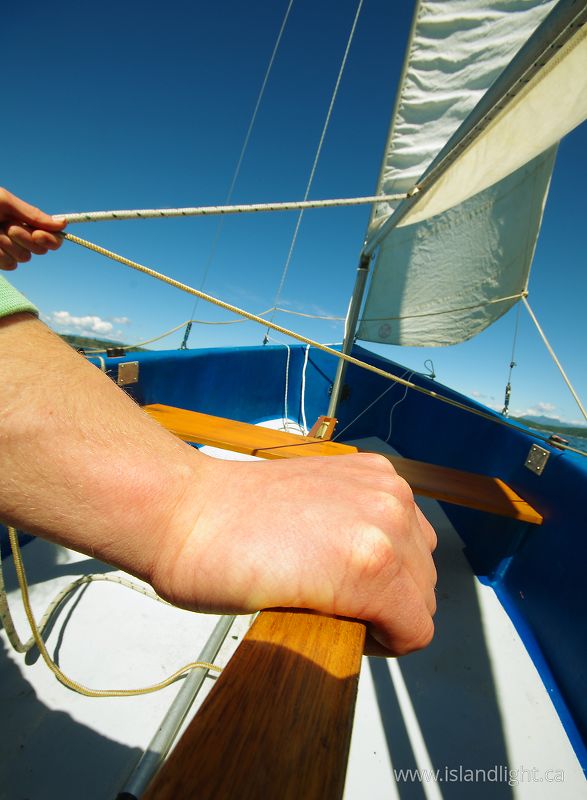   Sailing photo