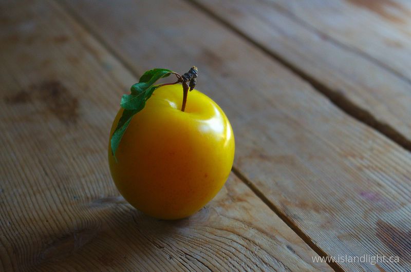   Plum photo