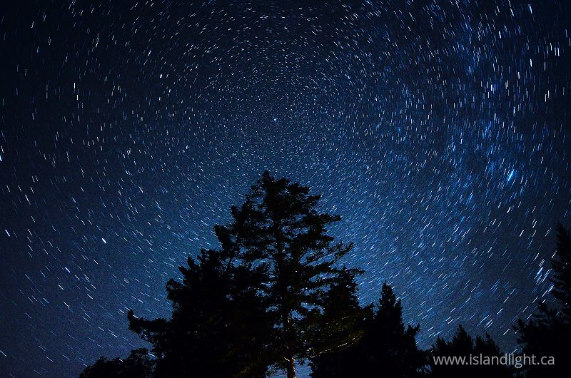   Star photo