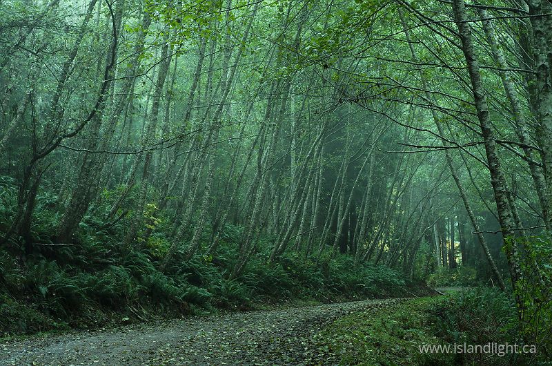   Country Road photo