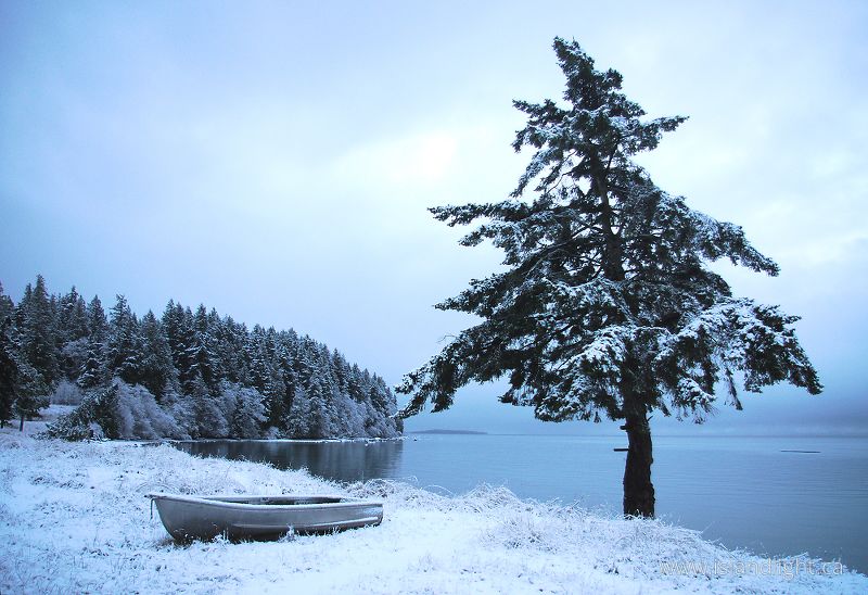   Winter Landscape photo