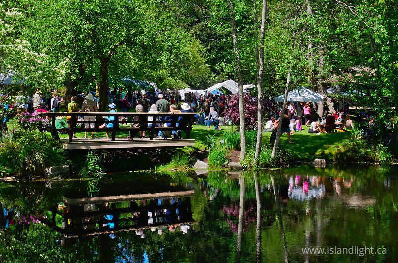 Seafest at The Gorge - Cortes Island event photo