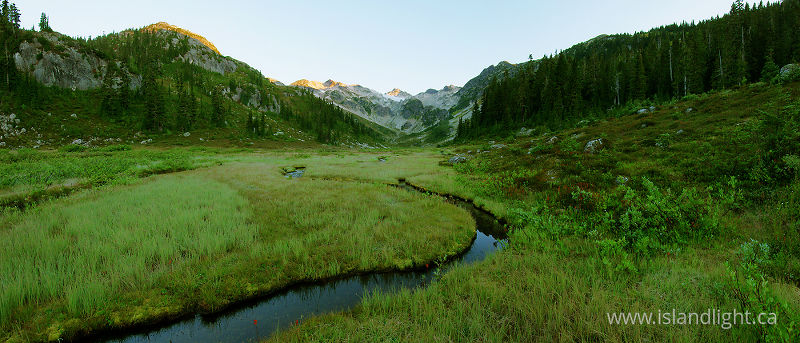   Alpine Meadow photo