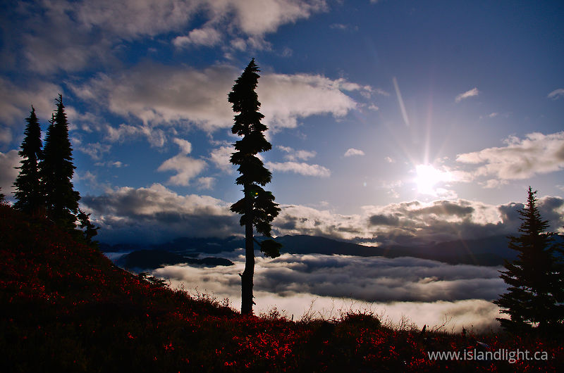   Alpine Landscape photo