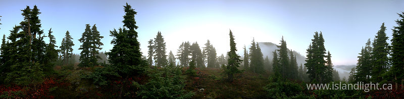   Panorama photo