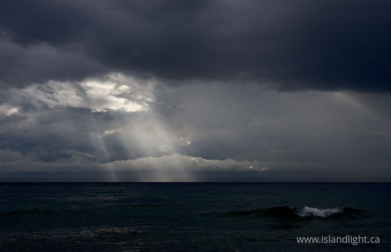 Illuminated  -   photo